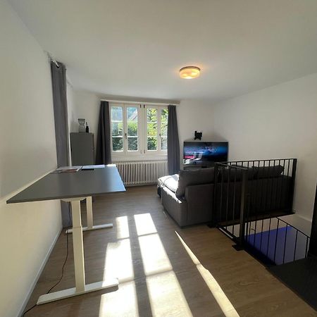 Blick Auf Schwarzen Turm - Freihofapartments Brugg  Extérieur photo